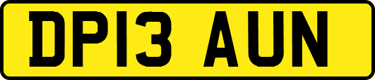 DP13AUN