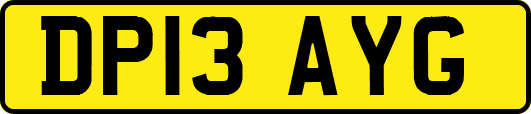 DP13AYG
