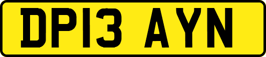 DP13AYN