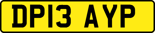 DP13AYP