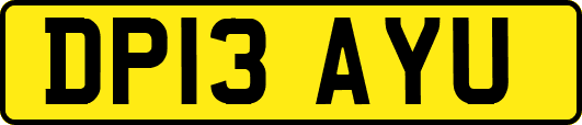 DP13AYU