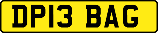 DP13BAG