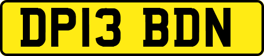DP13BDN