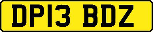 DP13BDZ
