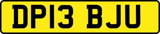 DP13BJU
