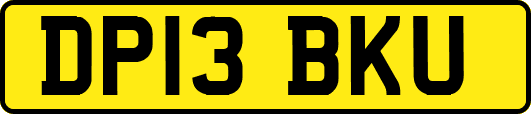 DP13BKU