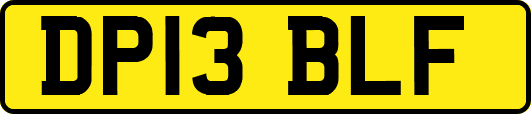 DP13BLF