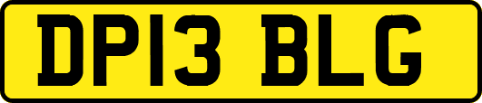 DP13BLG