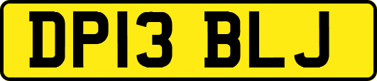 DP13BLJ