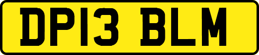 DP13BLM