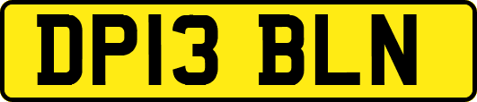 DP13BLN