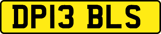 DP13BLS