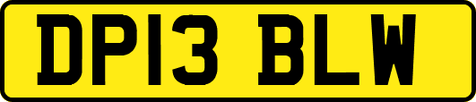 DP13BLW