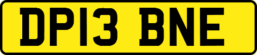 DP13BNE