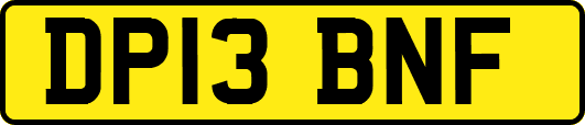 DP13BNF