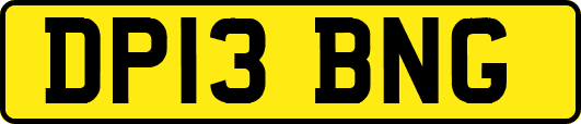 DP13BNG