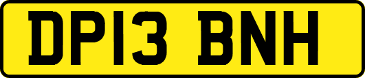 DP13BNH