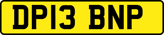 DP13BNP