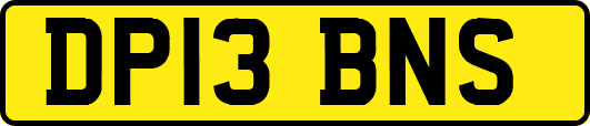 DP13BNS