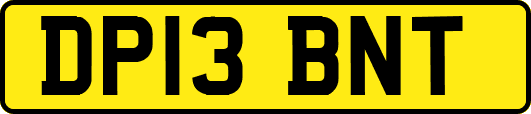 DP13BNT