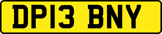 DP13BNY