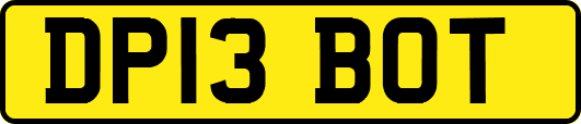 DP13BOT