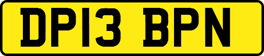 DP13BPN