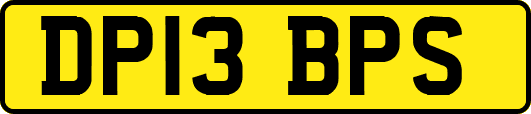 DP13BPS
