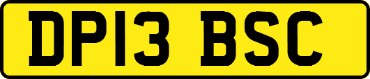 DP13BSC