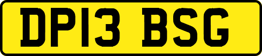 DP13BSG