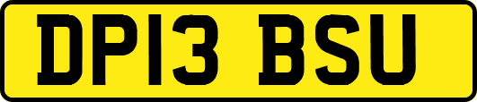 DP13BSU
