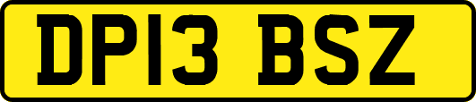 DP13BSZ