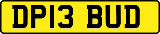 DP13BUD