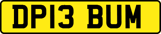 DP13BUM