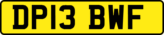 DP13BWF