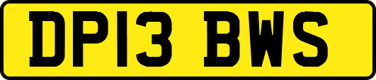 DP13BWS