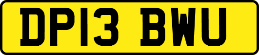 DP13BWU