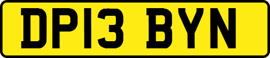 DP13BYN
