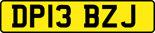 DP13BZJ