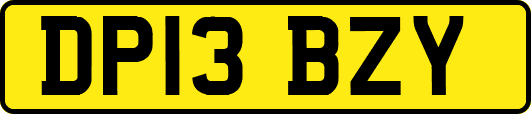 DP13BZY
