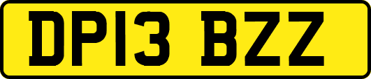 DP13BZZ
