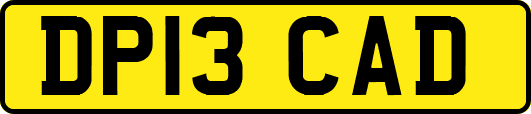 DP13CAD