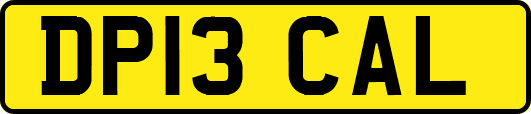 DP13CAL