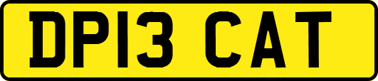 DP13CAT