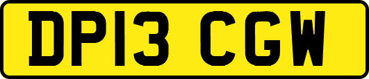 DP13CGW