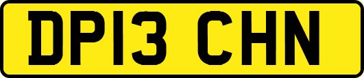 DP13CHN