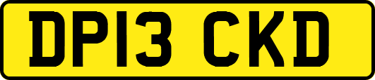 DP13CKD