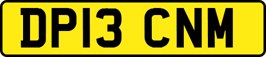 DP13CNM