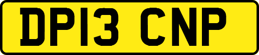 DP13CNP