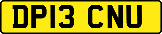 DP13CNU
